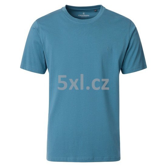 ODE-CAS-004200-185