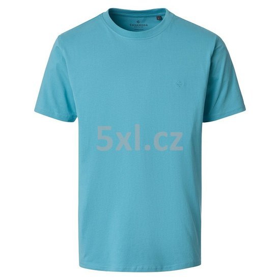 ODE-CAS-004200-397