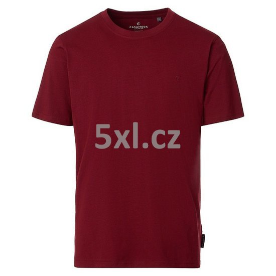 ODE-CAS-004200-401