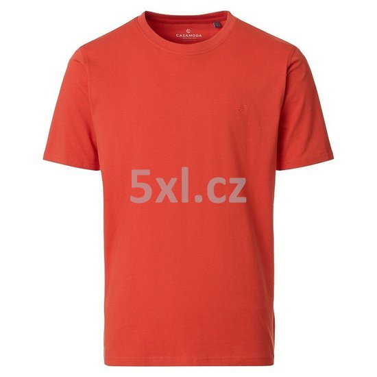 ODE-CAS-004200-467