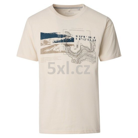 ODE-CAS-126340001-002