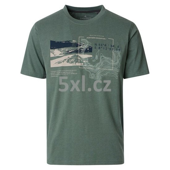 ODE-CAS-126340001-345