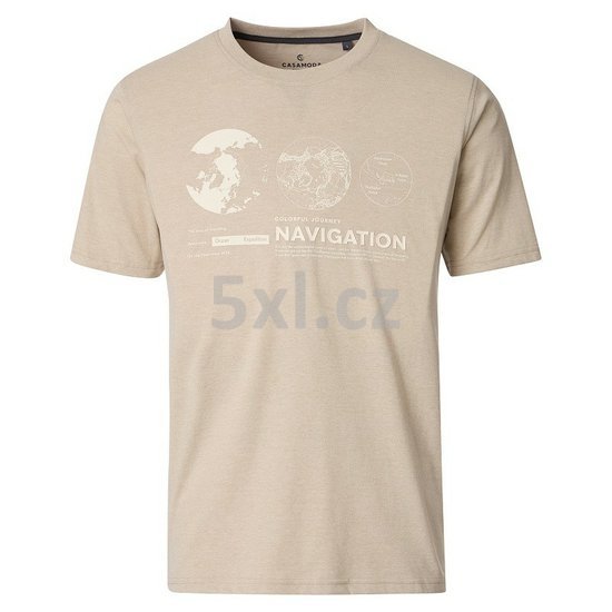 ODE-CAS-126340001-659