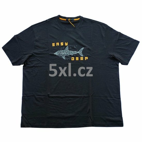 ode-max-2255999.jpg